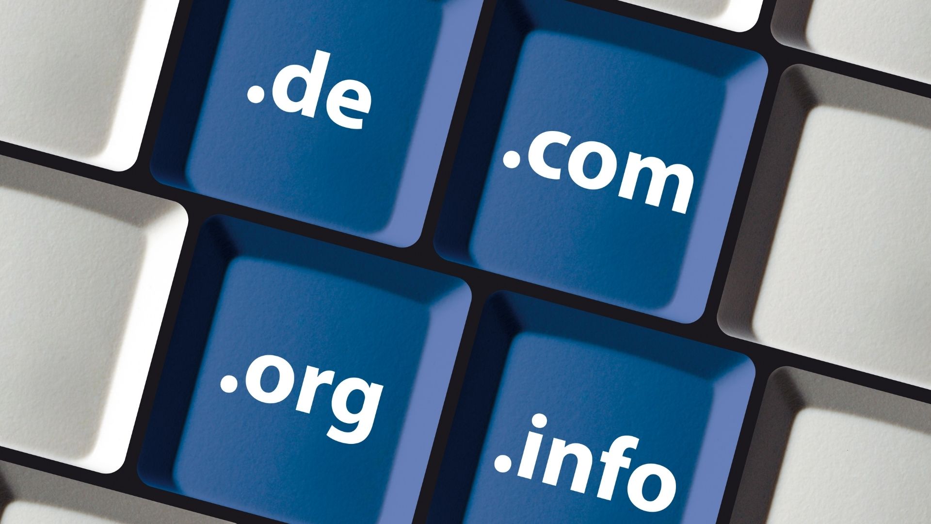 Does Having Multiple Domains Help SEO?